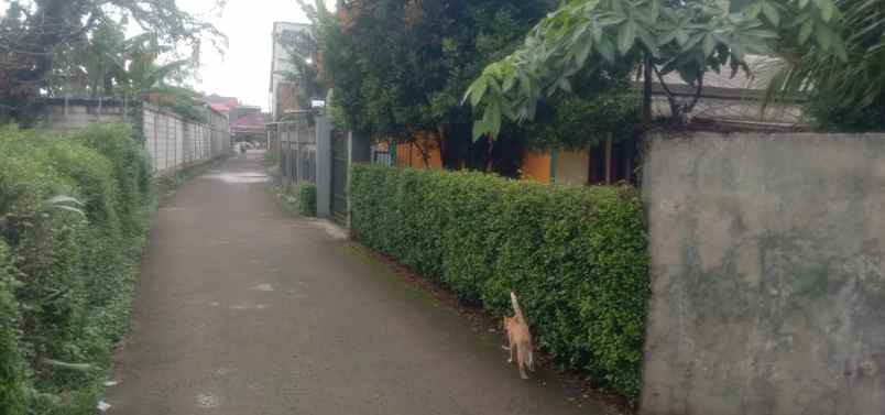 dijual tanah dan kontrakan kt 420 lb 180 arco sawangan