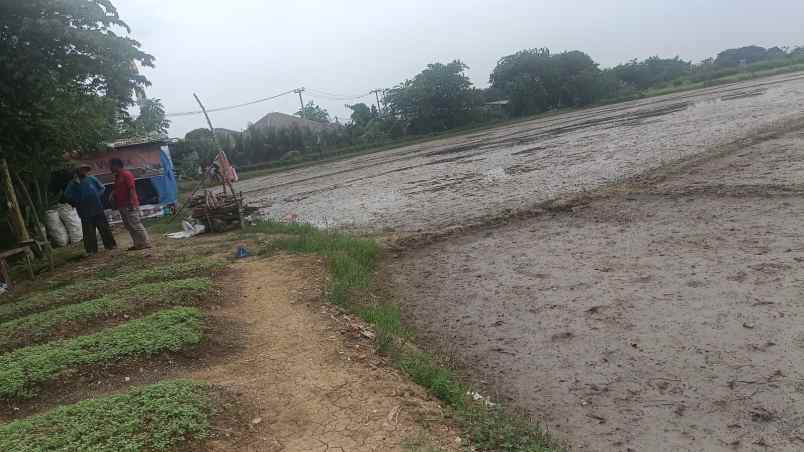 dijual tanah desa suka asih cikarang