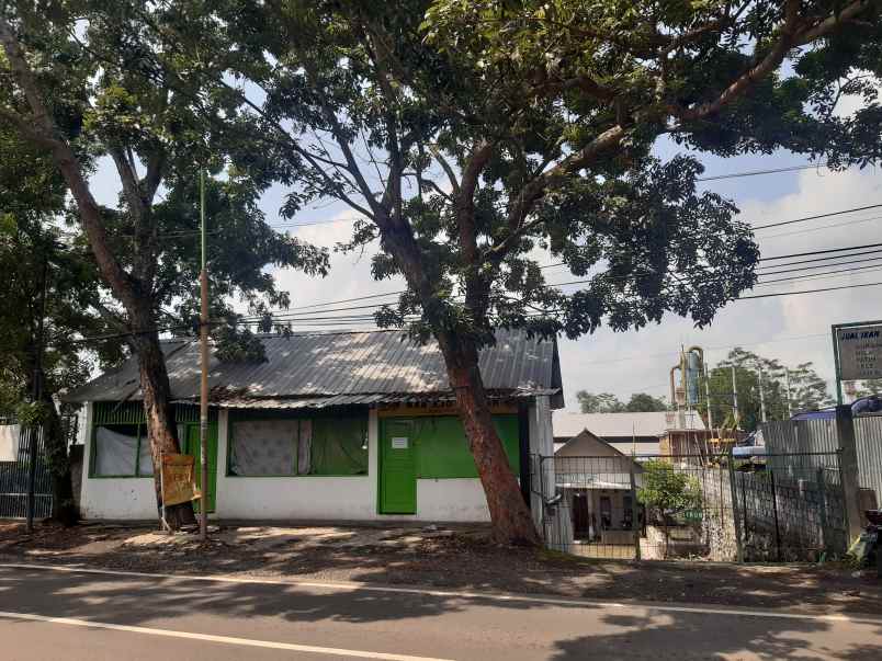 dijual tanah di pinggir jalan raya tukum lumajang