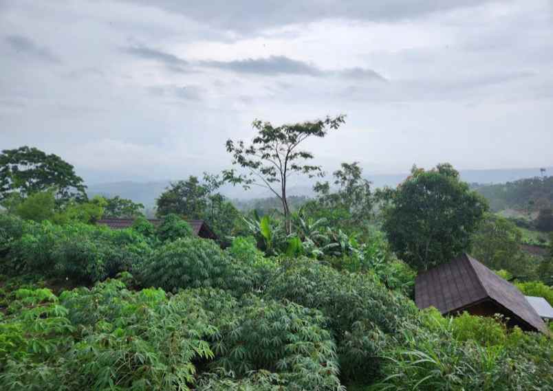 dijual tanah gesing buleleng bali