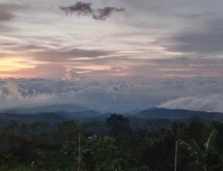 dijual tanah gesing buleleng bali