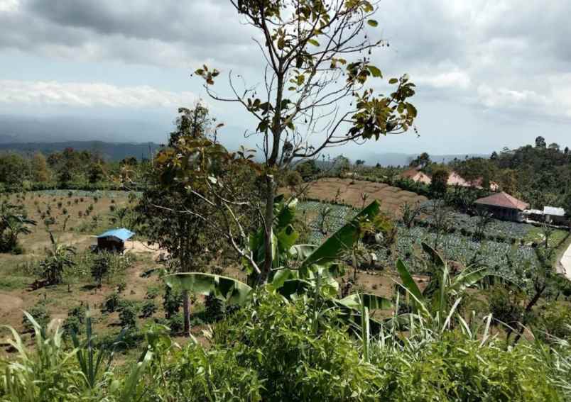 dijual tanah gesing buleleng bali