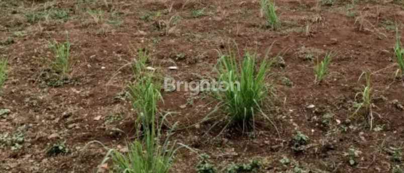 dijual tanah industri maspion