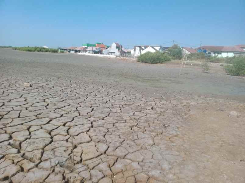 dijual tanah jalan pantura kandanghaur