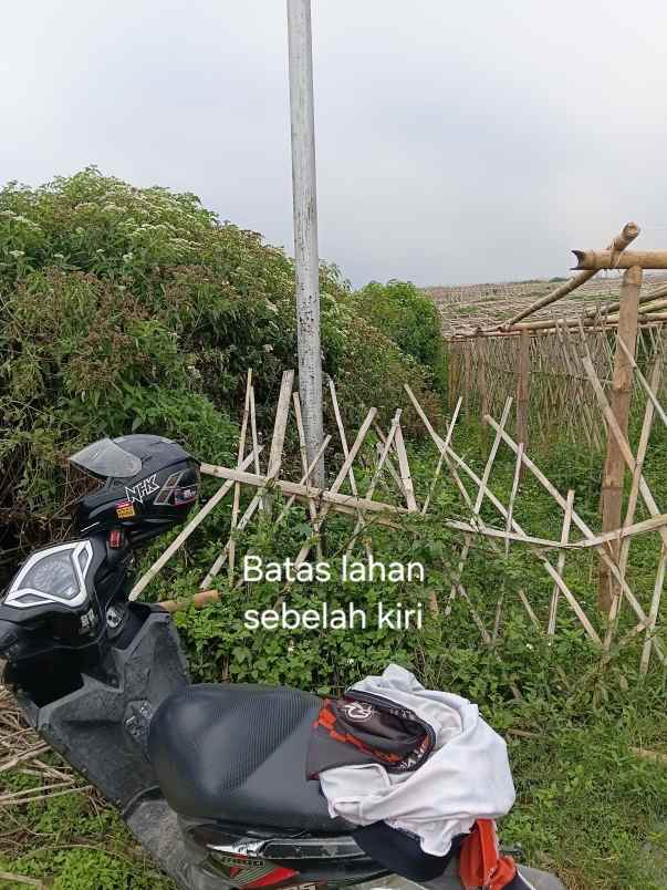 dijual tanah jl h gofur cilame