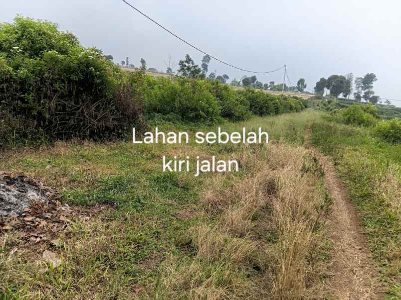 dijual tanah jl h gofur cilame