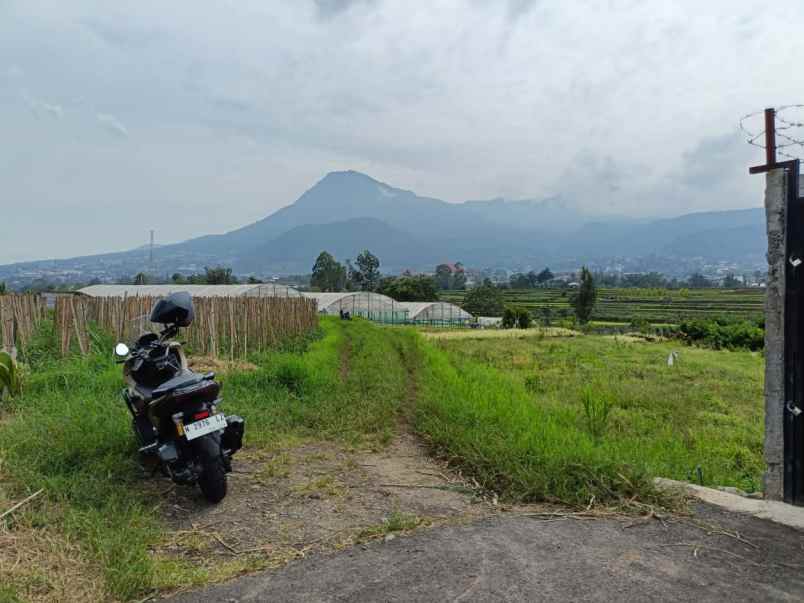 dijual tanah jl metro