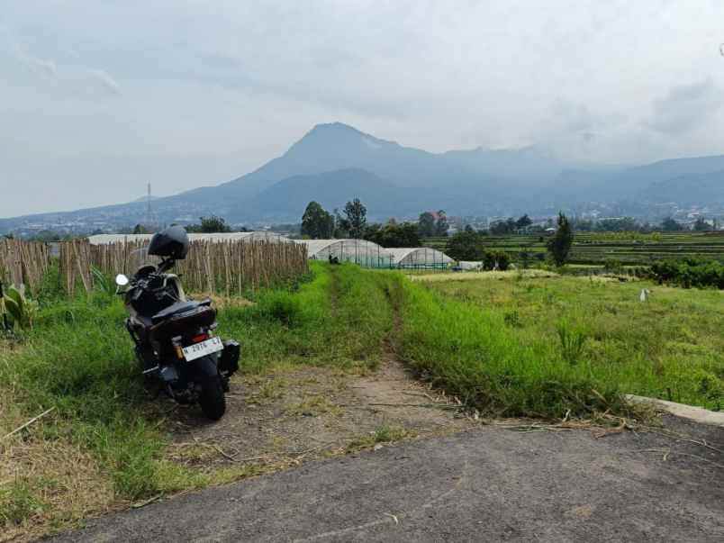 dijual tanah jl metro