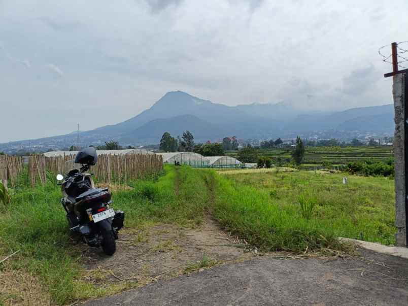 dijual tanah jl metro