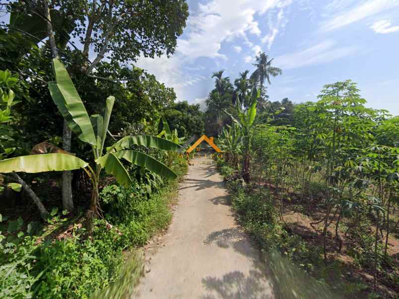 dijual tanah jl pertahanan kec sinembah