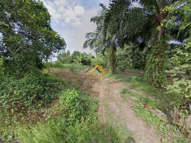 dijual tanah jl pertahanan kec sinembah