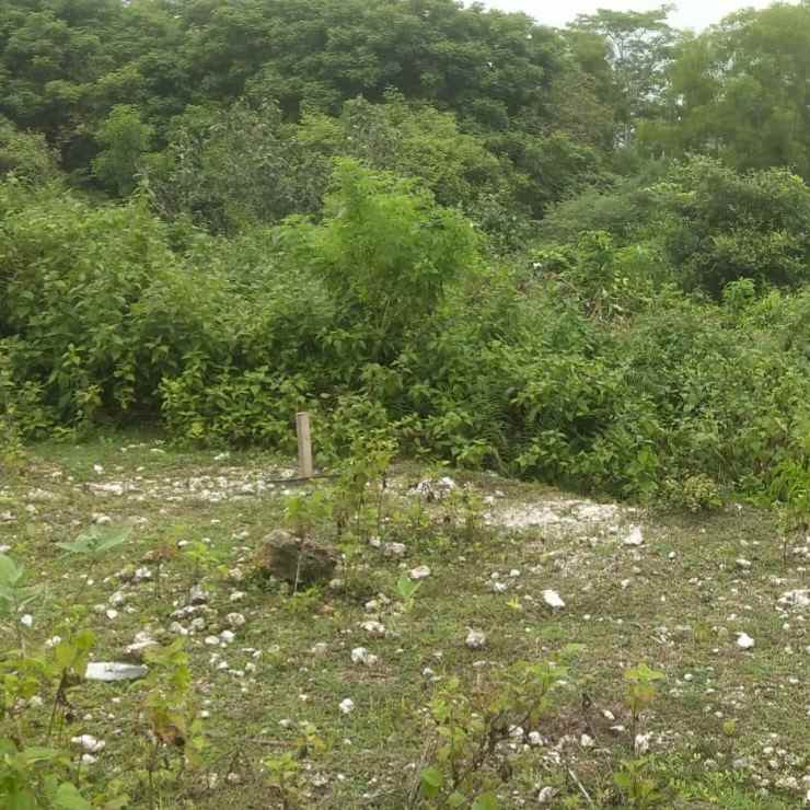 dijual tanah jl raya kampial