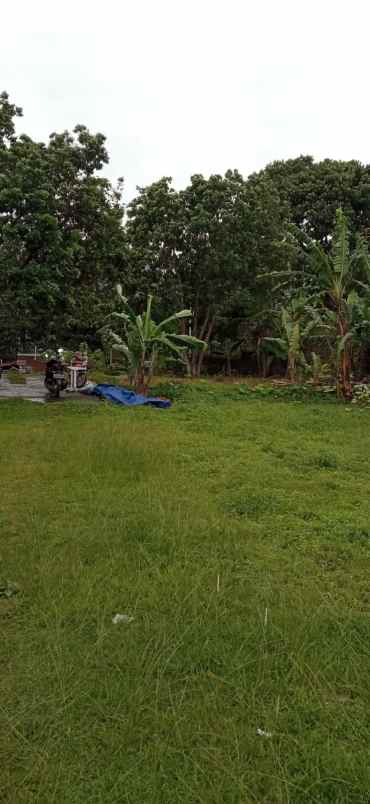 dijual tanah jl raya puncak rt 03 rw02