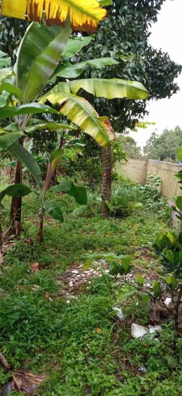 dijual tanah jl raya puncak rt 03 rw02