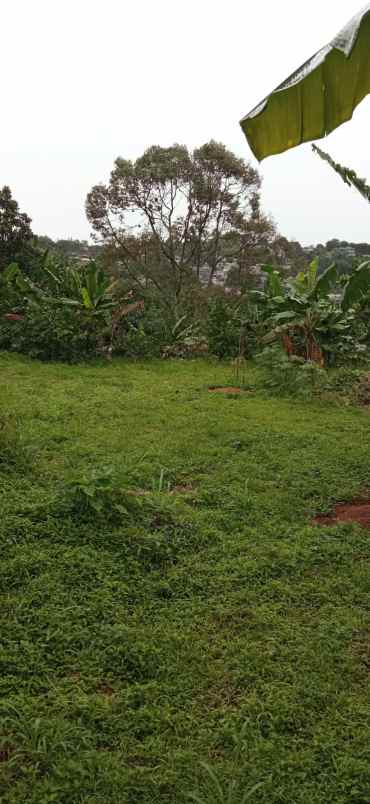 dijual tanah jl raya puncak rt 03 rw02