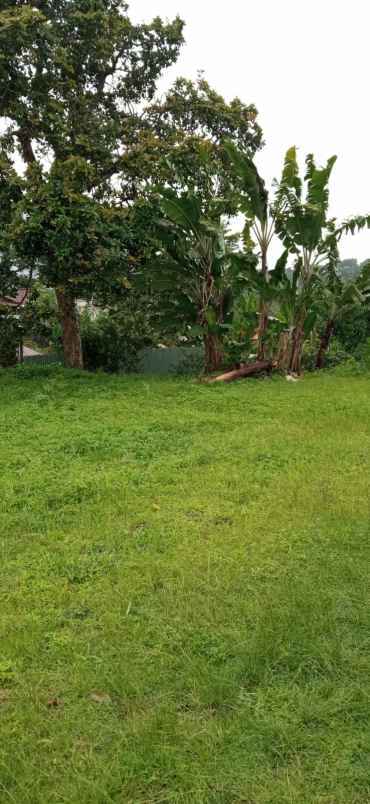 dijual tanah jl raya puncak rt 03 rw02