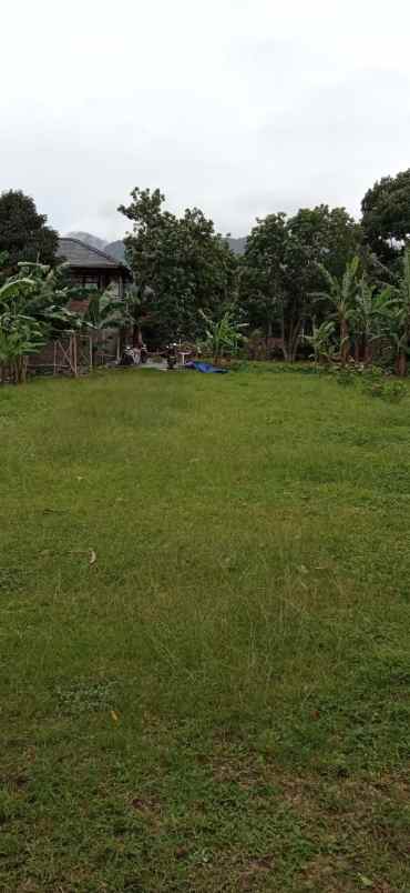 dijual tanah jl raya puncak rt 03 rw02