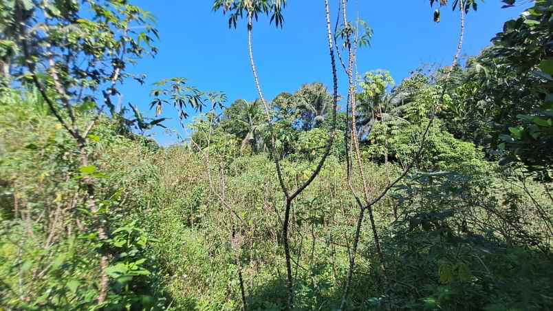 dijual tanah kandri