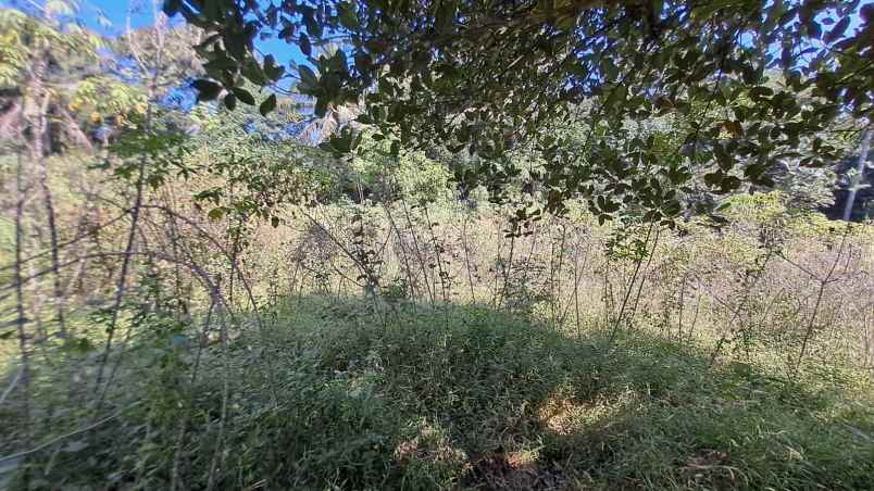 dijual tanah kandri