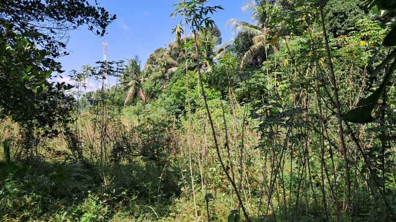 dijual tanah kandri