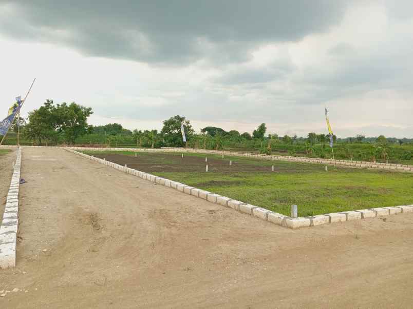 dijual tanah kavling murah