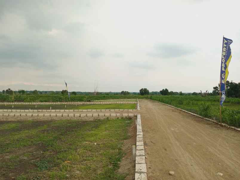 dijual tanah kavling murah