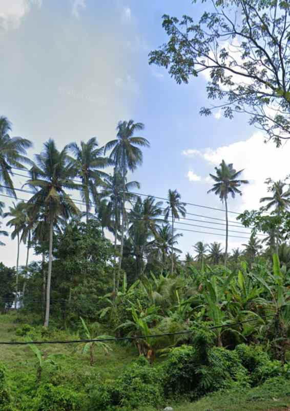 dijual tanah kebun los pantai tempat strategis