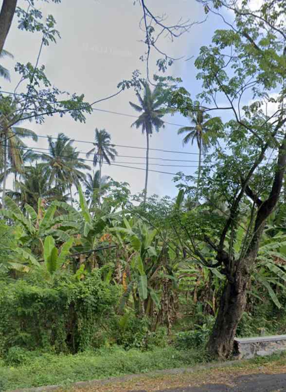 dijual tanah kebun los pantai tempat strategis