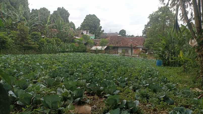 dijual tanah pajuhaji