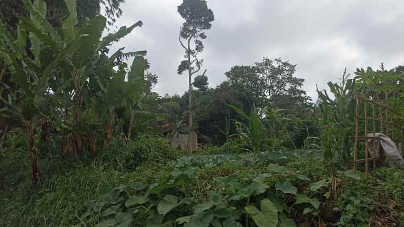 dijual tanah pajuhaji