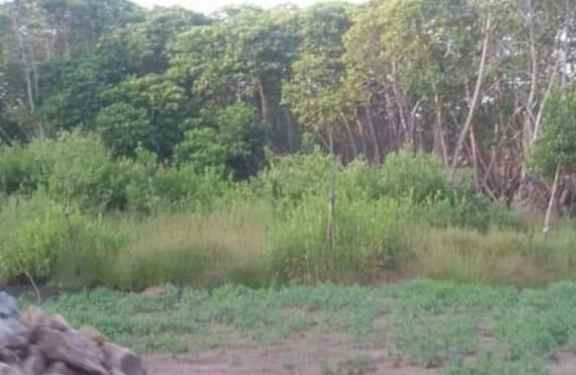 dijual tanah pertanian 3420 hektar karawang