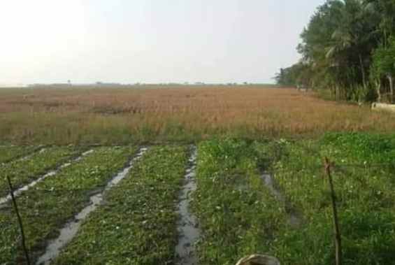 dijual tanah pertanian 3420 hektar karawang