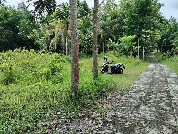 dijual tanah salakan bangunjiwo kasihan