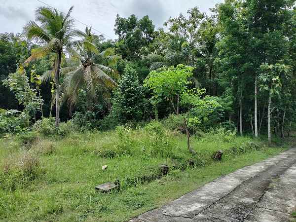 dijual tanah salakan bangunjiwo kasihan