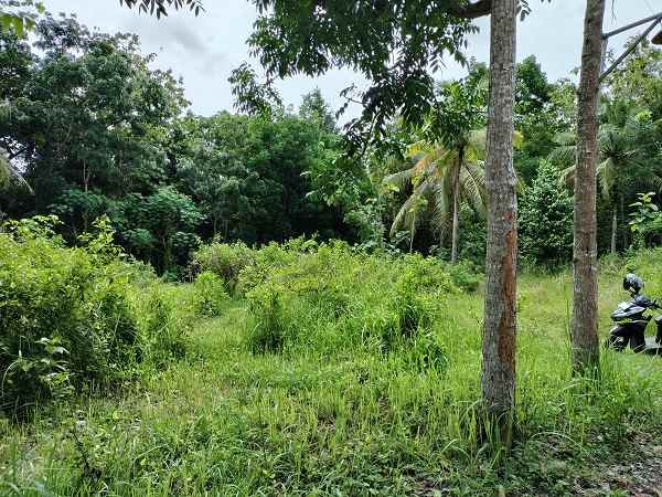 dijual tanah salakan bangunjiwo kasihan