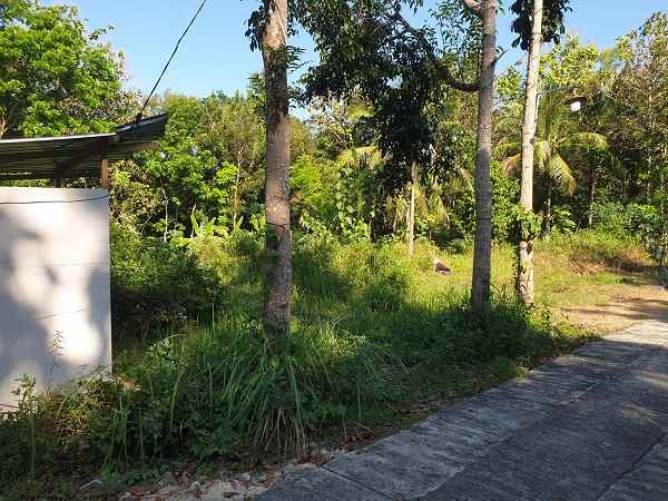 dijual tanah salakan bangunjiwo kasihan