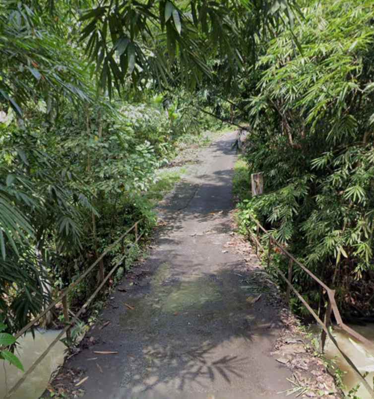 dijual tanah selemadeg timur tabanan bali