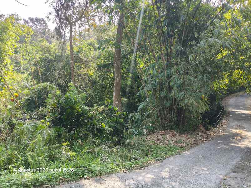 dijual tanah selemadeg timur tabanan bali