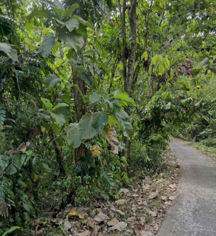 dijual tanah selemadeg timur tabanan bali