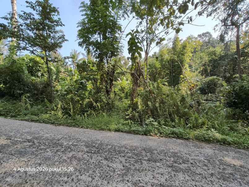 dijual tanah selemadeg timur tabanan bali