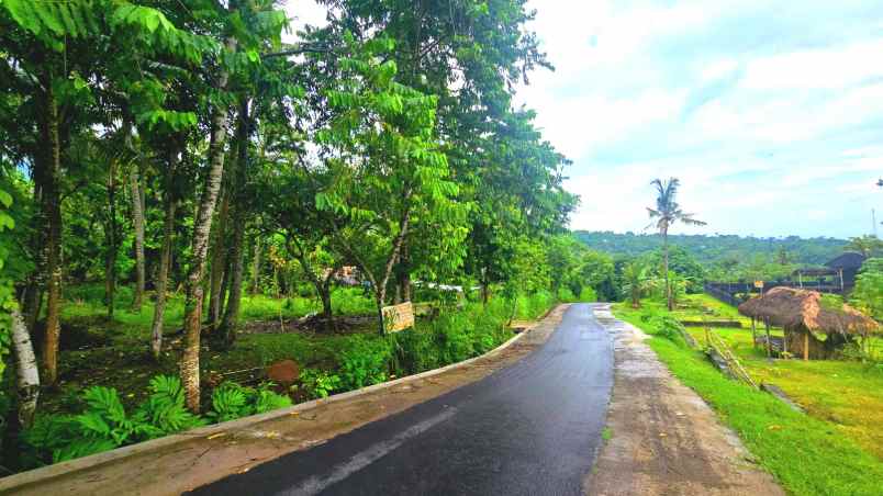 dijual tanah seraya karangasem bali