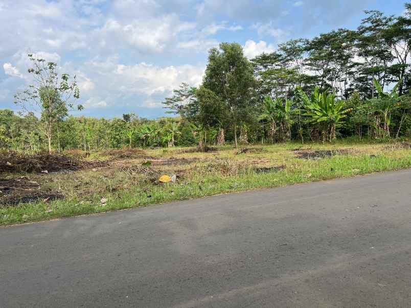 dijual tanah tepi jl sragen kerjo