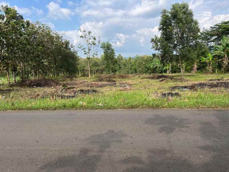 dijual tanah tepi jl sragen kerjo