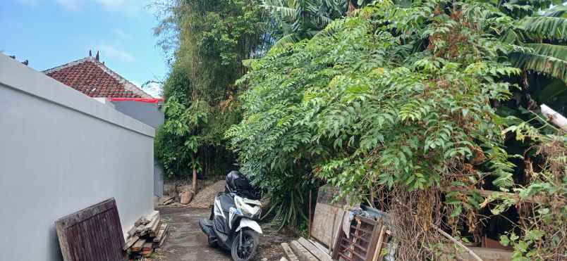 dijual tanah tibubeneng canggu berawa