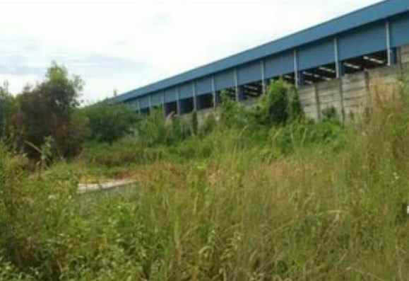 dijual tanahb2 8 hektar cikarang barat