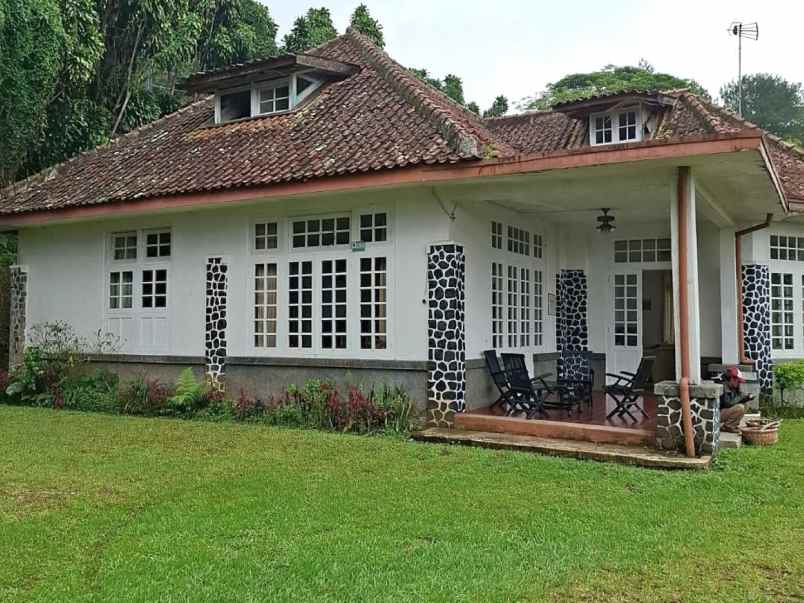 dijual villa jalan raya puncak puncak