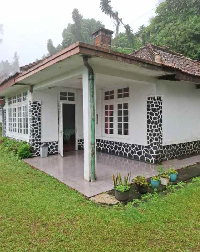 dijual villa jalan raya puncak puncak