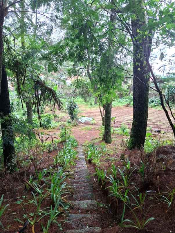 dijual villa jalan raya puncak puncak