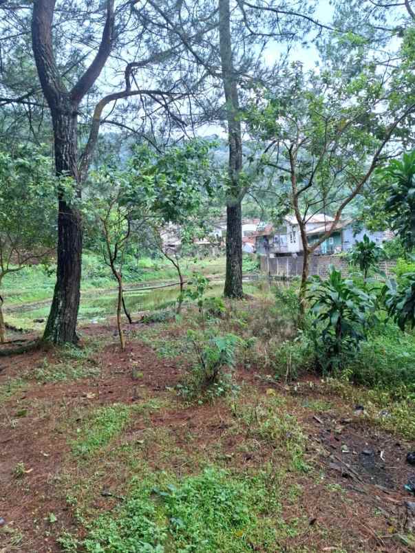 dijual villa jalan raya puncak puncak