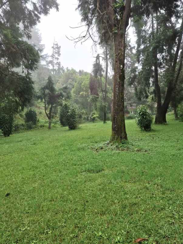 dijual villa jalan raya puncak puncak